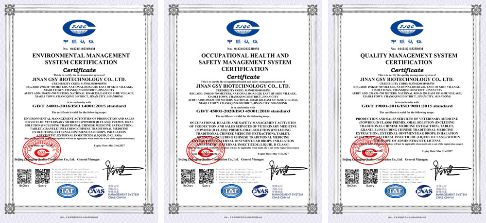 ใบประกาศเกียรติคุณ.png ใบประกาศเกียรติคุณ.png