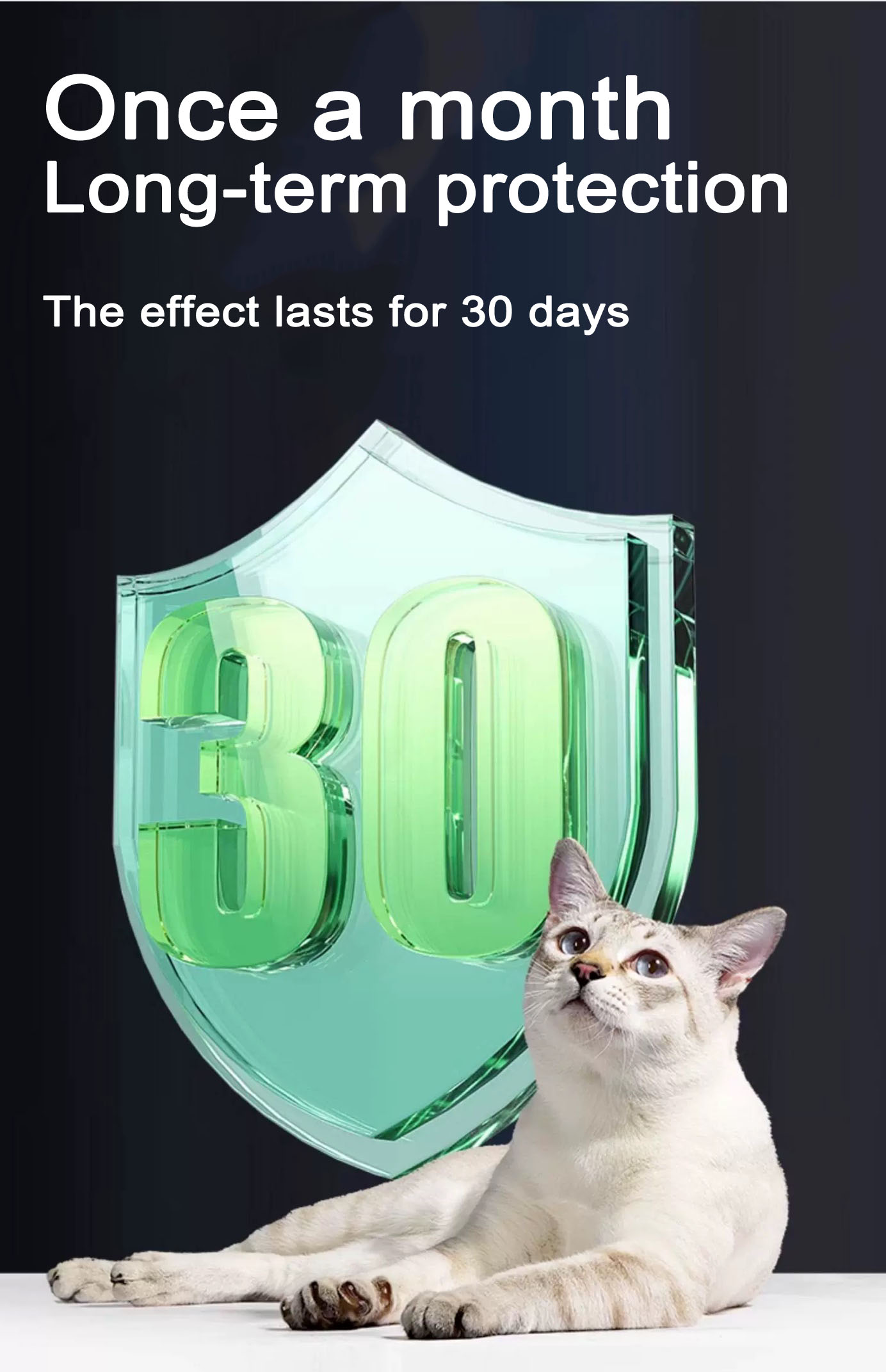 1.0 ml For dogs Imidacloprid and Moxidectin Drops 1.0 ml For dogs Imidacloprid and Moxidectin Drops
