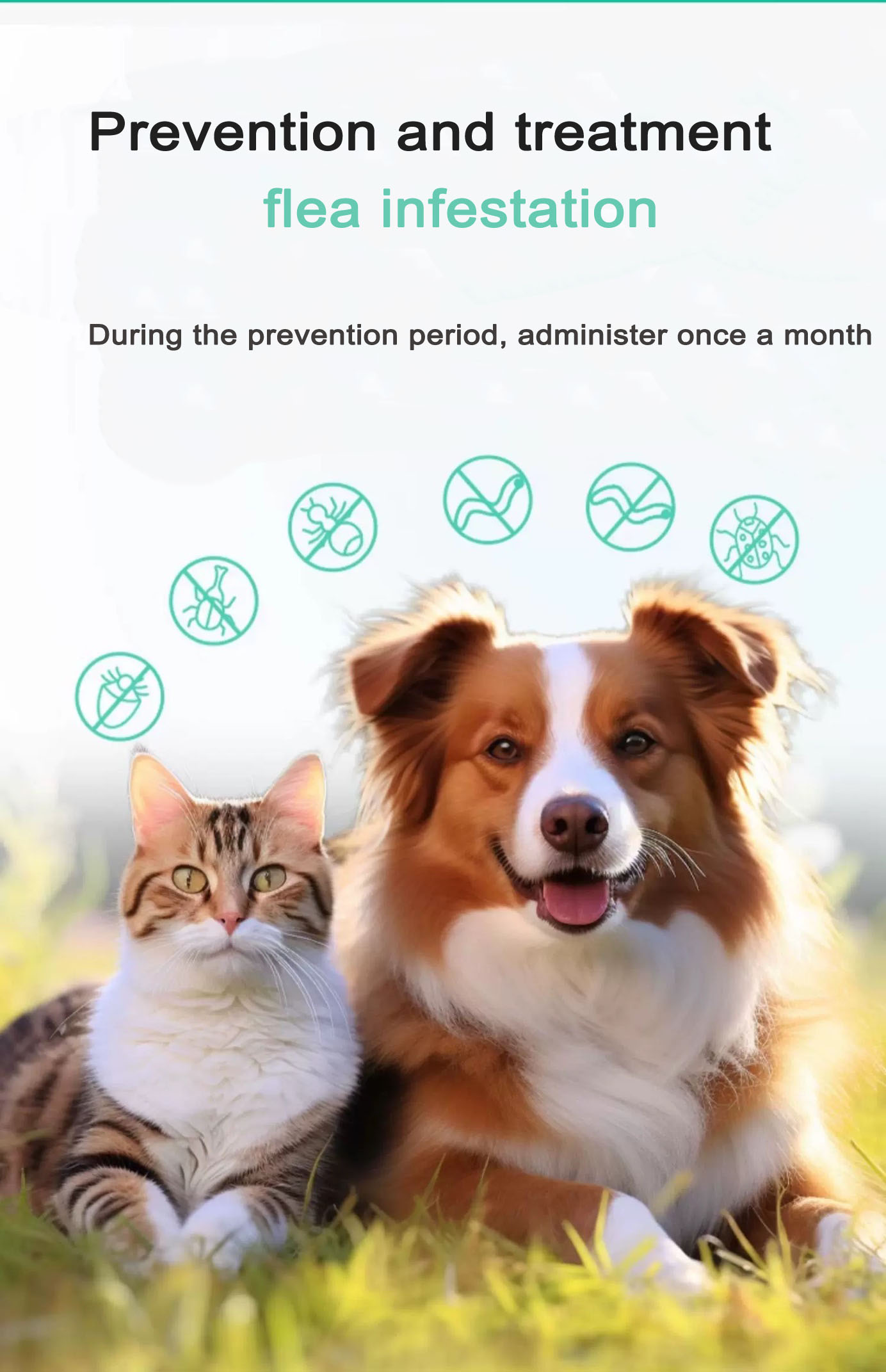 0,4 ml para perros Imidacloprid Spot-on Solutions