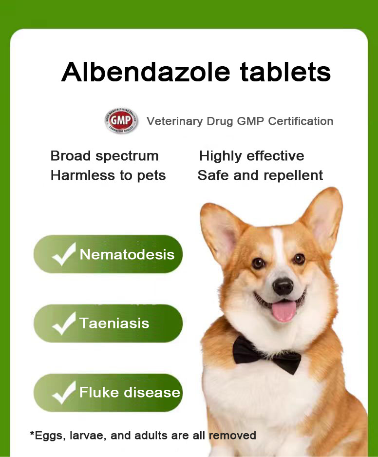 0.1g Albendazole tablet for pets