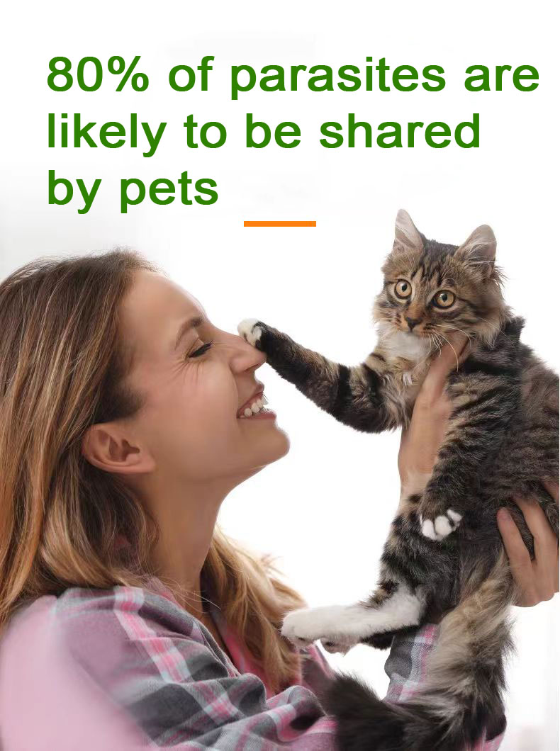 Viên nén Fenbendazole 25 mg dành cho thú cưng Viên nén Fenbendazole 25 mg dành cho thú cưng