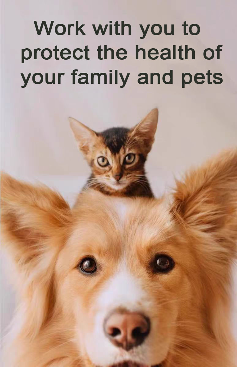 Viên nén Fenbendazole 25 mg dành cho thú cưng Viên nén Fenbendazole 25 mg dành cho thú cưng