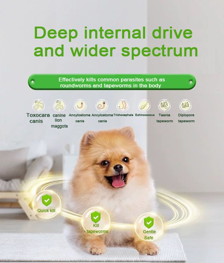 0.1g แท็บเล็ตผสม Febantel สำหรับสุนัข.jpg 0.1g แท็บเล็ตผสม Febantel สำหรับสุนัข.jpg