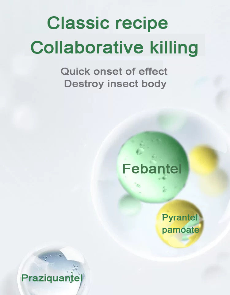 0.1g แท็บเล็ตผสม Febantel สำหรับสุนัข.jpg 0.1g แท็บเล็ตผสม Febantel สำหรับสุนัข.jpg