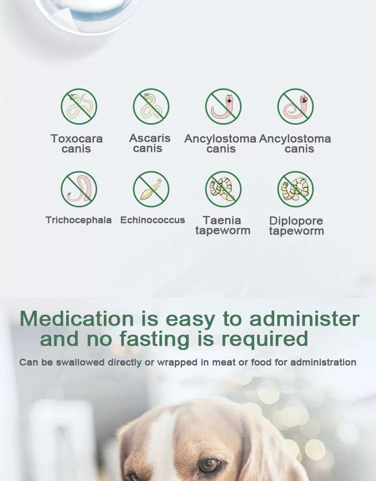 0.1g แท็บเล็ตผสม Febantel สำหรับสุนัข.jpg 0.1g แท็บเล็ตผสม Febantel สำหรับสุนัข.jpg