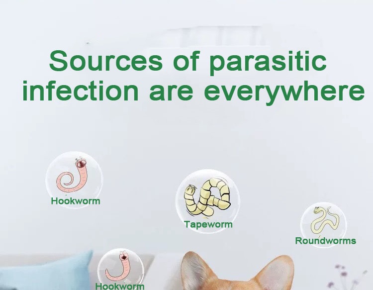 0.1g แท็บเล็ตผสม Febantel สำหรับสุนัข.jpg 0.1g แท็บเล็ตผสม Febantel สำหรับสุนัข.jpg