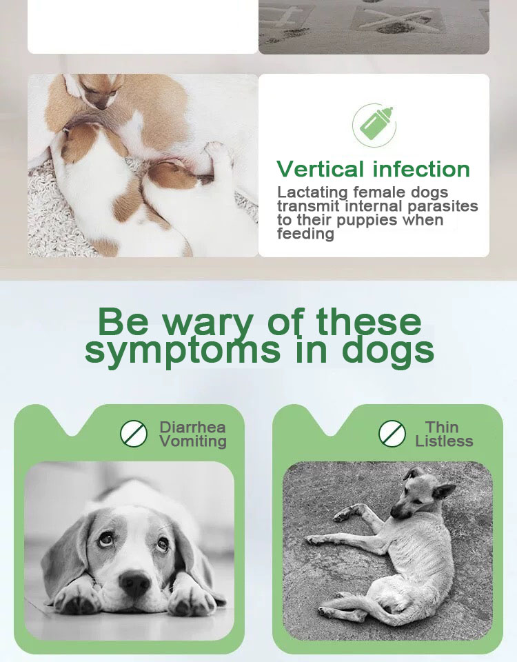 0.1g แท็บเล็ตผสม Febantel สำหรับสุนัข.jpg 0.1g แท็บเล็ตผสม Febantel สำหรับสุนัข.jpg