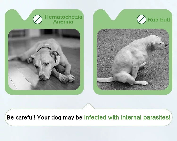 0.1g แท็บเล็ตผสม Febantel สำหรับสุนัข.jpg 0.1g แท็บเล็ตผสม Febantel สำหรับสุนัข.jpg